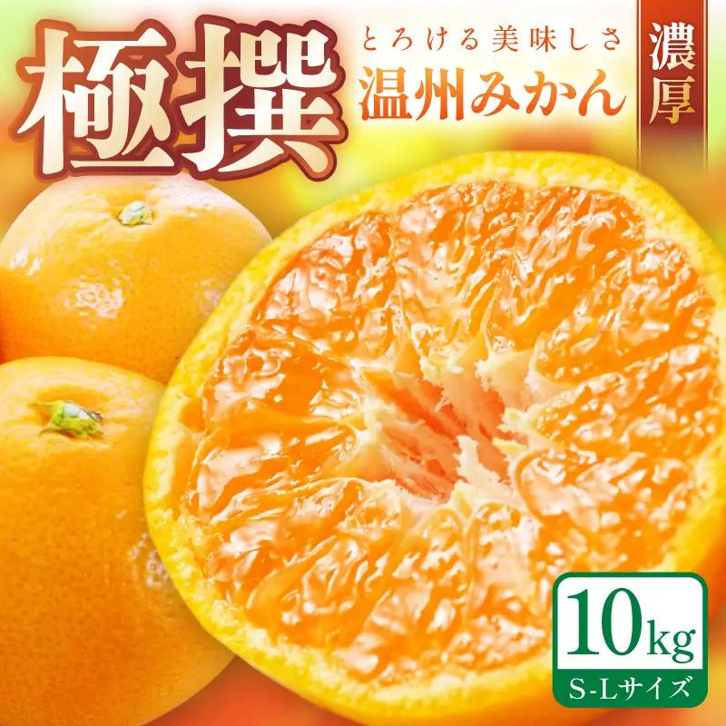 「濃厚な味のとろける美味しさ」温州みかん 10kg《先行予約》【0059-3】