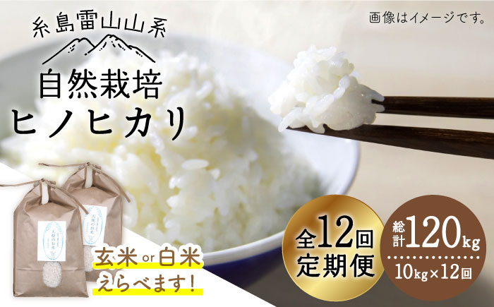 【玄米】【令和7年産新米予約】【 全12回 定期便 】 自然栽培 ヒノヒカリ 10kg 《糸島》【大石ファーム】【2025年11月中旬以降初回発送】 [ATE022-1]