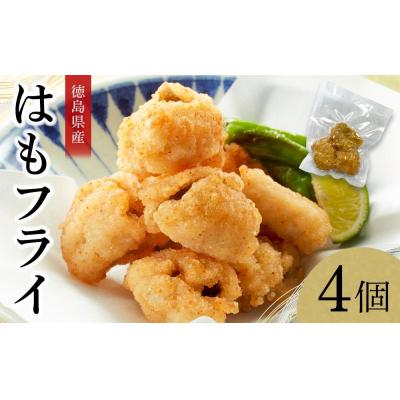 ふるさと納税 徳島市 はもフライ(50g×4)【BB016】