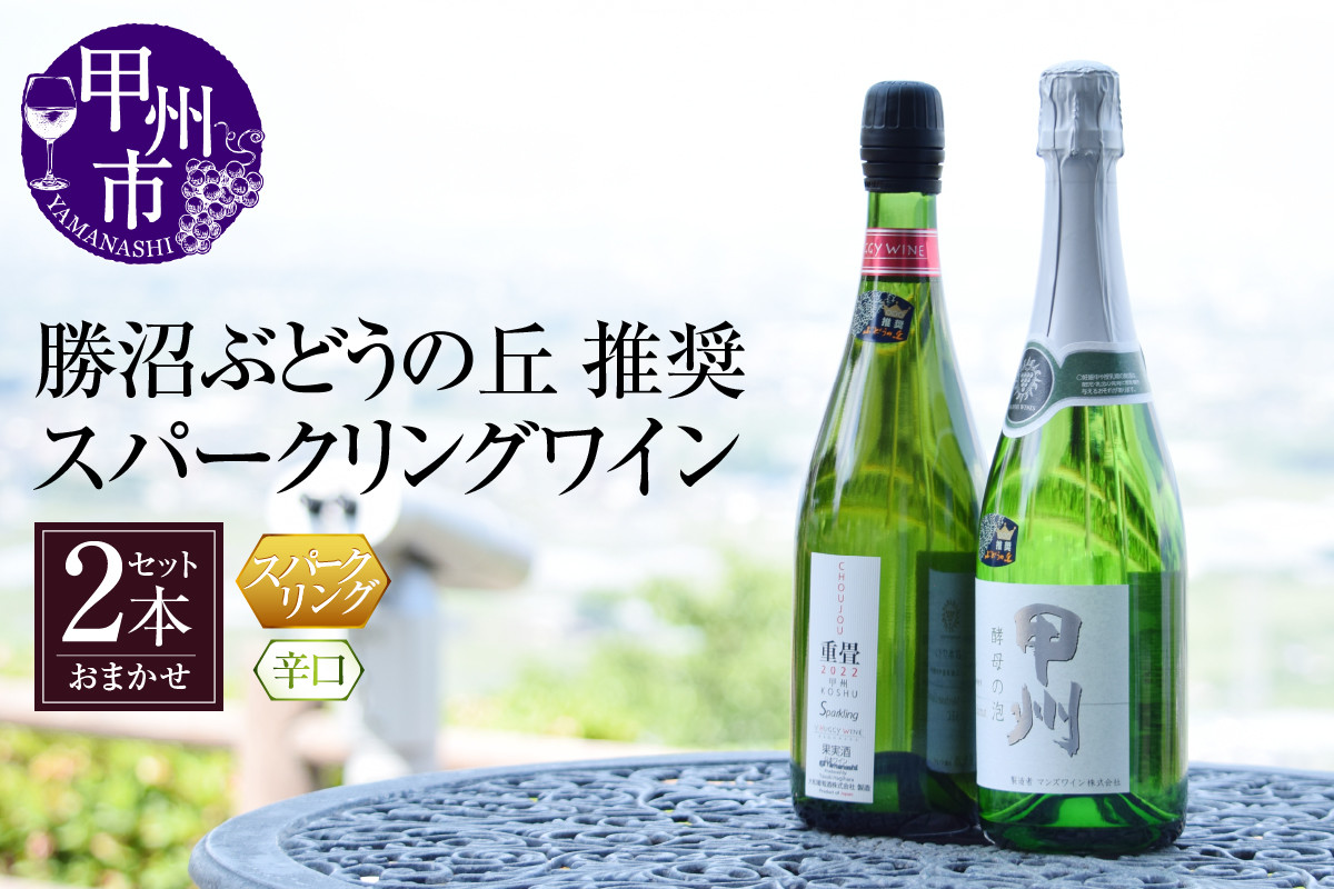 
                  勝沼ぶどうの丘推奨スパークリングワイン辛口2本セット B2-604（KBO） 【ワイン わいん Wine スパークリングワイン 甲州市 山梨県 ワイン わいん Wine  】
                