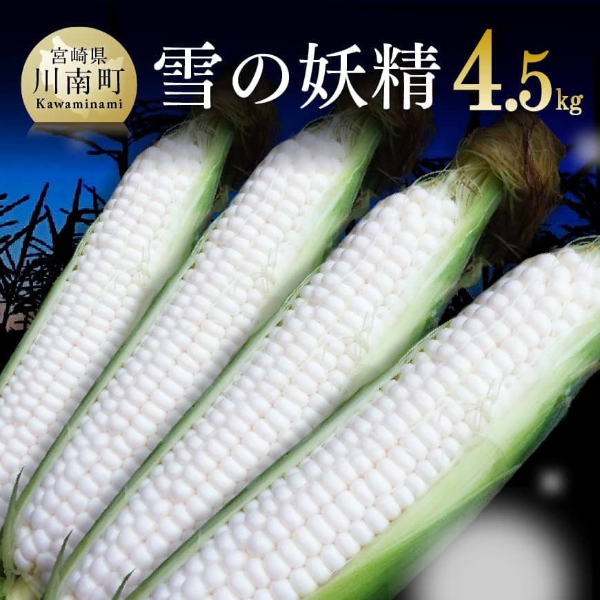 【ふるさと納税】 【令和7年発送】宮崎県産とうもろこし　大山さんちのホワイトコーン「雪の妖精」4.5kg - 先行予約 数量限定 期間限定 季節限定 送料無料 とうもろこし 大山農園 スイートコーン D07102