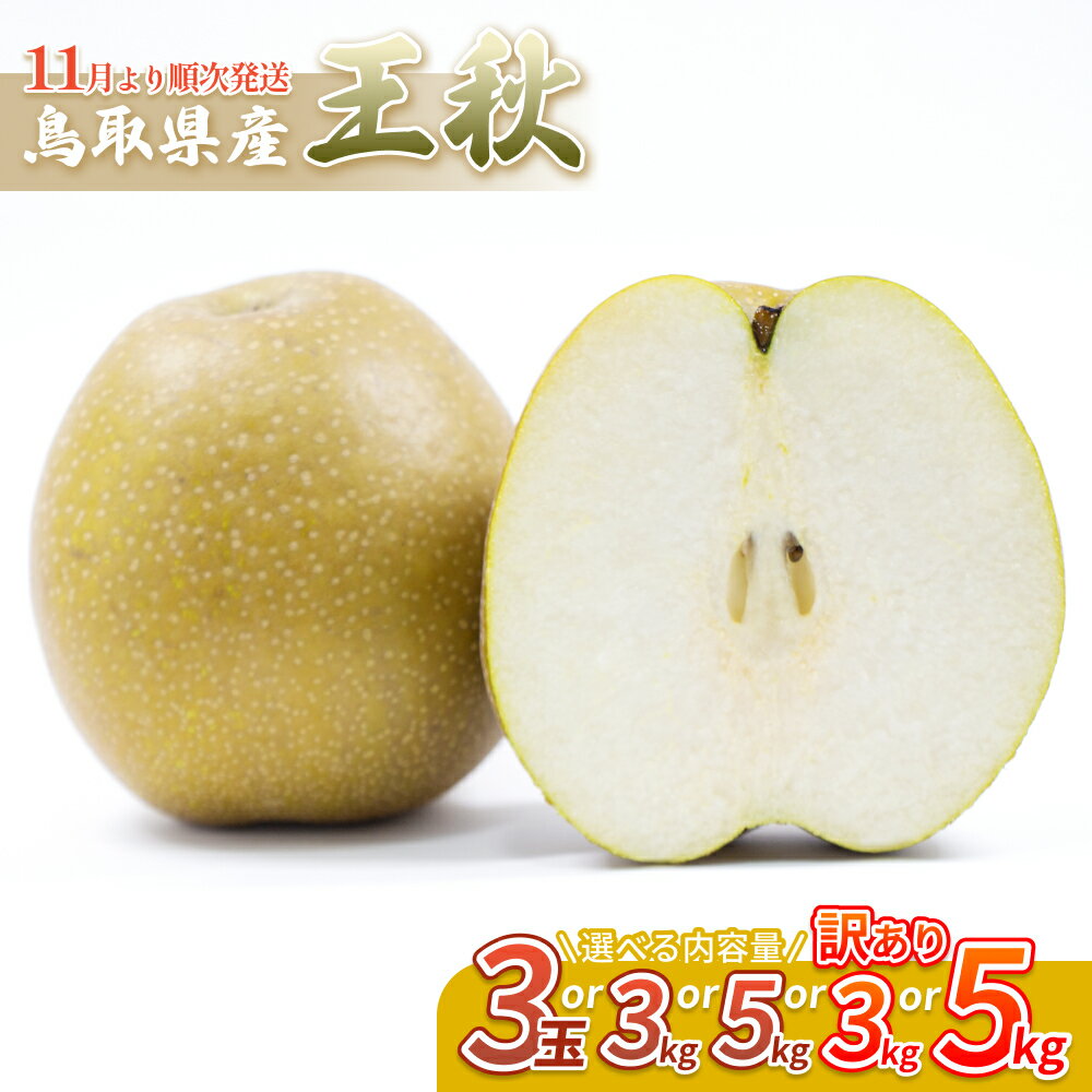 画像【ふるさと納税】【先行予約】中野農園 梨 ”王秋梨” 3玉、3～5kg 訳あり｜鳥取県 梨 なし ナシ 王秋梨 果物 フルーツ 内容量 3kg 5kg 訳アリ※お届けは2026年11月以降