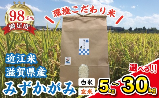 
                  令和7年産 みずかがみ 白米 5kg / 10kg 玄米 30kg 選べる 【KSKU1】 みずかがみ 米 お米 こめ コメ 白米 玄米 ご飯 5kg 10kg 30kg 国産 送料無料 おすすめ 人気 大人気 国産 ランキング 大容量
                