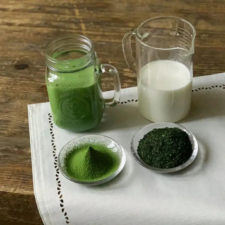 滋賀県産【お茶屋がつくる 抹茶プロテイン】900g×3  （約3ヵ月分） シェイカーなし