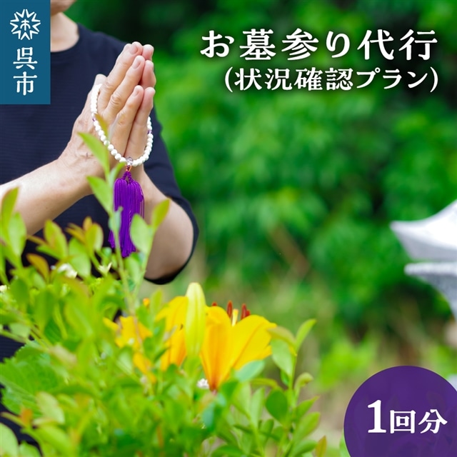 お墓参り代行　状況確認プラン