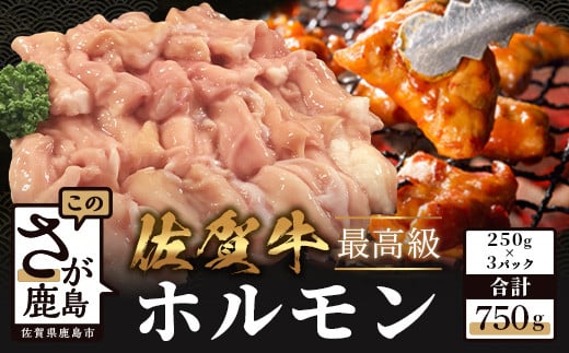 B-557　佐賀牛 ホルモン 【合計750┃250g×3パック】小分けで便利 食べたい分だけ調理 佐賀和牛 肉 牛肉 和牛 佐賀 牛肉 お取り寄せ 佐賀県 鹿島市 冷凍
