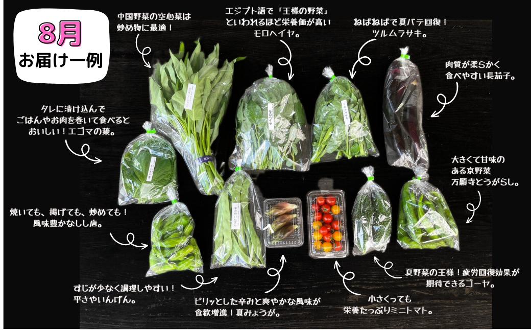 【3回定期便】西粟倉産 「旬の野菜 おまかせセット」 F-FF-B01A