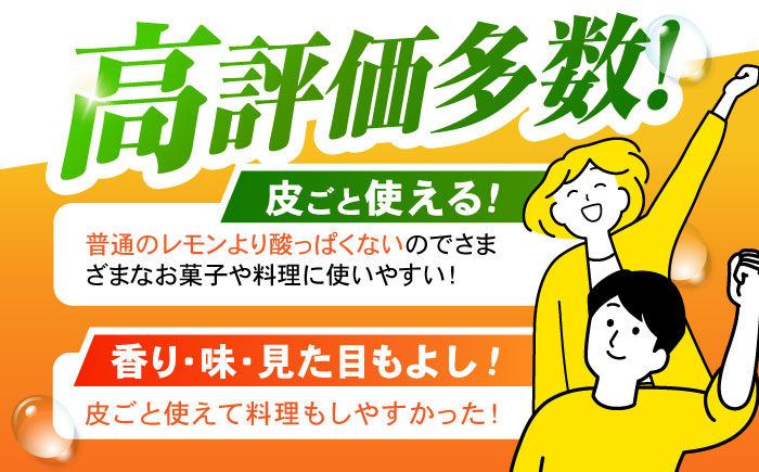 【グリーンレモンのみお届け】マイヤーレモン 5kg / レモン れもん 檸檬 果汁 グリーンレモン ぐりーんれもん 柑橘 フルーツ ふるーつ 果物 くだもの / 諫早市 / 山野果樹園 [AHCF01
