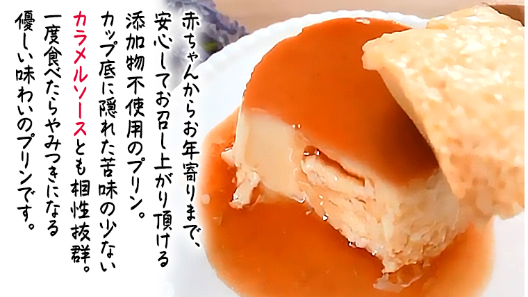 【ODEKAKE LADY】 レトロプリン ６個セット 贅沢 平飼い卵 昔プリン ぷりん 洋菓子 お菓子 スイーツ デザート [BW068ci]
