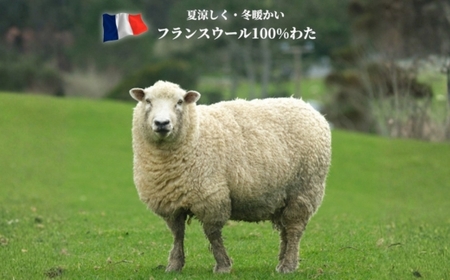 【シングルサイズ】フランスウール100% 羊毛わたベッドパッド（100×200cm） W100BP-S ｜ 寝具 睡眠 快適 熟睡 吸湿 ベッド 無地 羊毛 ウール パッド