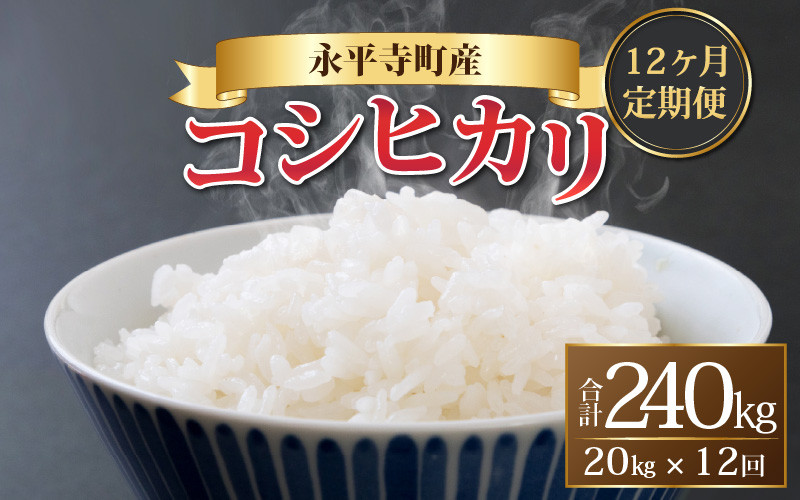 
【12ヶ月連続お届け】【白米】 令和5年度産 永平寺町産 コシヒカリ 20kg×12ヶ月（計240kg） [N-033080]
