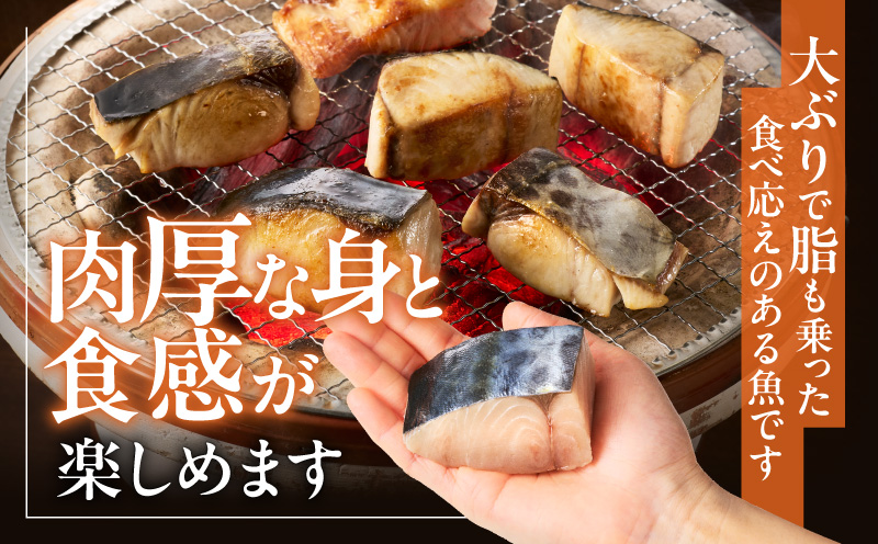 【お弁当サイズ】さわら 切身 約50g×10切れ【小分け 漁師 手切り 500g 泉州 鰆 切り身 弁当 朝食 時短 訳あり サイズ不揃い 規格外 冷凍食品 スピード発送】
