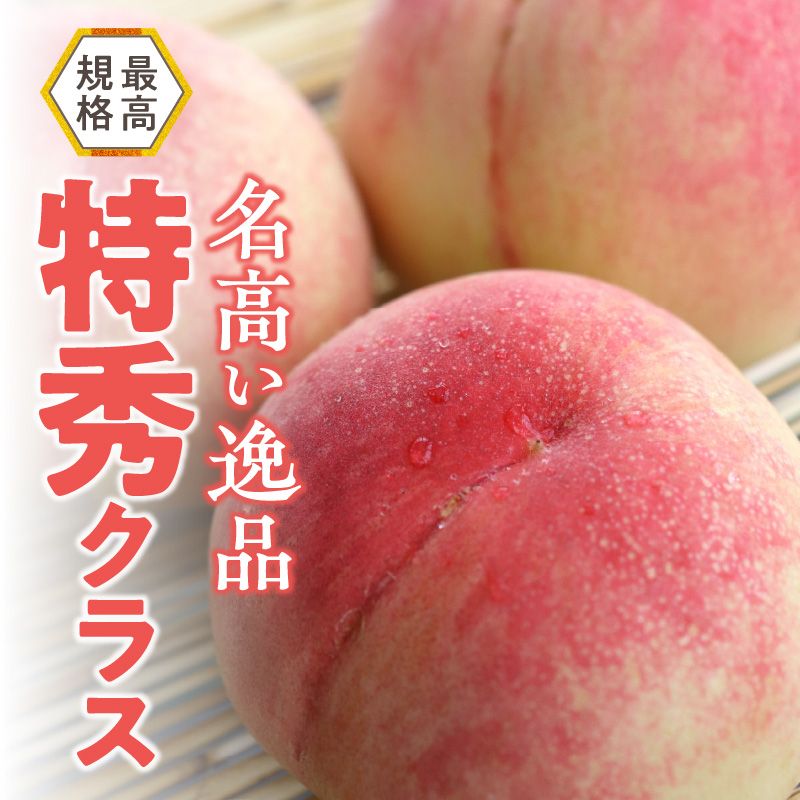 【数量限定】 しのおかの大きな桃(白鳳・特秀クラス）