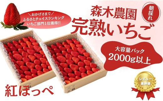 
060-9 完熟☆濃く甘 いちご『紅ほっぺ』　合計2000g以上！【常温発送】
