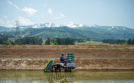 ゆきのまゆ 純米吟醸 720ml ×1本 新潟県 津南町 苗場酒造株式会社