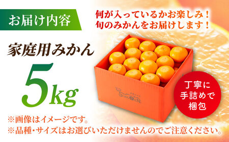 【先行予約】【訳あり】家庭用 みかん 約5kg 詰め合わせ 柑橘【合同会社 社方園】[ZBZ021]