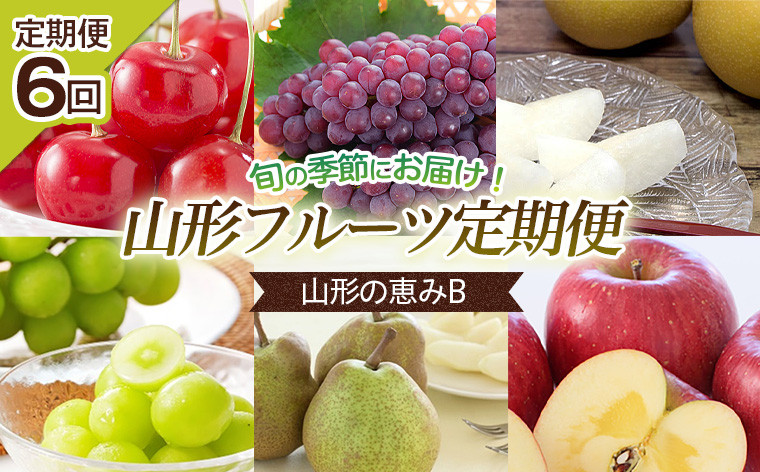 
            【定期便6回】山形の恵みB 【令和7年産先行予約】FU23-728 くだもの 果物 フルーツ 山形 山形県 山形市 2025年産
          