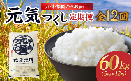 九州・福岡からお届け！ブランド米「元気つくし」定期便【全12回】★北海道・沖縄・離島配送不可★ 072-T072