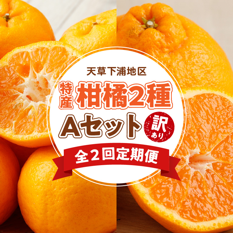S040-T05_【定期便2回】天草　下浦特産の柑橘2種Ａセット（訳あり）【先行受付】