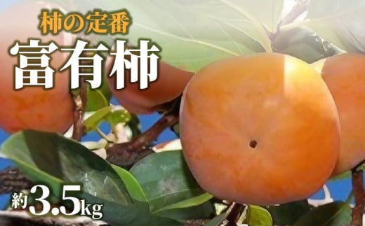 【ふるさと納税】【先行予約】【配送不可地域：北海道・沖縄県・離島】柿の定番「富有柿」約3.5kg  柿 カキ かき kaki 直送 新鮮 旬 オーガニック 健康効果 保存方法 美容効果 栄養価 送料無料 フルーツ 果物 お取り寄せグルメ 詰め合わせ 詰合せ 大粒 高級 秋 旬