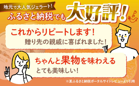 【年中人気】【6回定期便】 おまかせジェラート  12個 ＜みかんドーム＞ [CAI035]