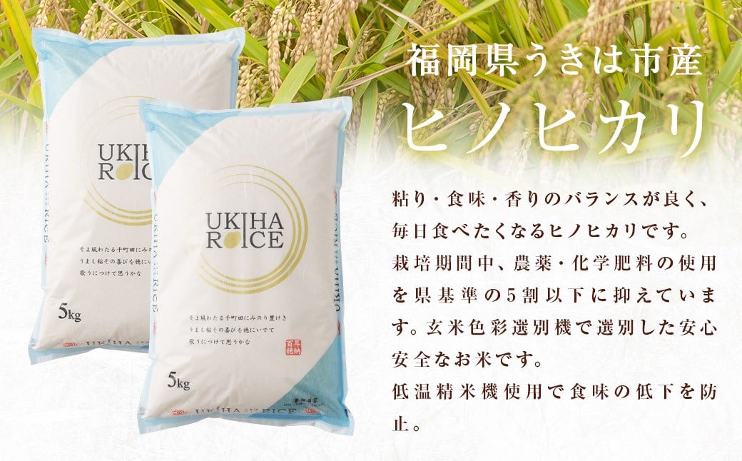 【12ヶ月定期便】みずほファーム UKIHA RICE (白米10kg×12ヶ月)
