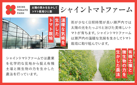 シャイントマト 500g シャイントマトファーム《1月中旬-6月中旬頃出荷》岡山県 笠岡市 送料無料 トマト 野菜 ミニトマト