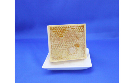 【5個】山梨県鳴沢村産 富士山麓Honey NSJ006　はちみつ ハチミツ ハニー 蜂蜜