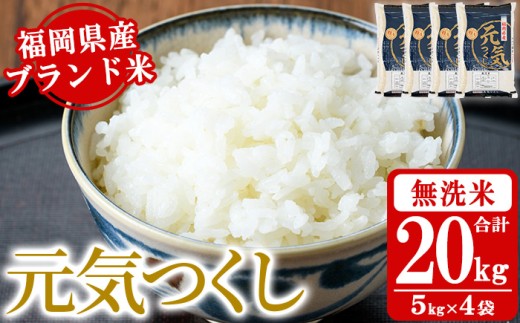 《無洗米》福岡県産ブランド米「元気つくし」(計20kg・5kg×4袋) 無洗米 米 お米 おこめ ごはん げんきつくし ご飯 常温 福岡県産 ブランド米 常温 常温保存 おにぎり おむすび お弁当 ライス【朝ごはん本舗】as05-059