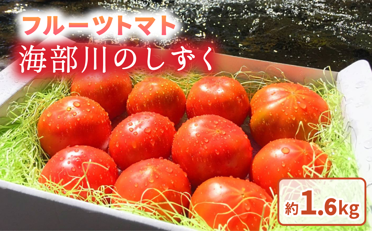 フルーツトマト「海部川のしずく」約1.6kg トマト とまと tomato