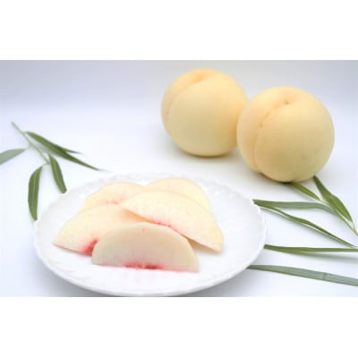 2026年 岡山白桃ロイヤル(1箱3玉)800g【配送不可地域：離島】【1641665】
