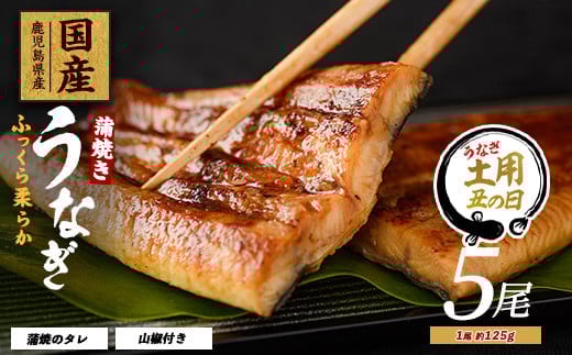 
            【丑の日に合わせてお届け！】【鹿児島県産】うなぎ蒲焼じっくり焼き約125g×5尾 化粧箱入り(大新/026-1903u) 【2025年7月9日～7月19日お届け】鰻 ウナギ 蒲焼 国産 丑の日 うな重 無頭 ギフト プレゼント 贈り物 贈答 惣菜 総菜 小分け レンジ 簡単 蒲焼き 冷凍 鹿児島県産
          