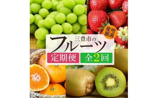 【ふるさと納税】【2回定期便】シャインマスカット＆デコポン