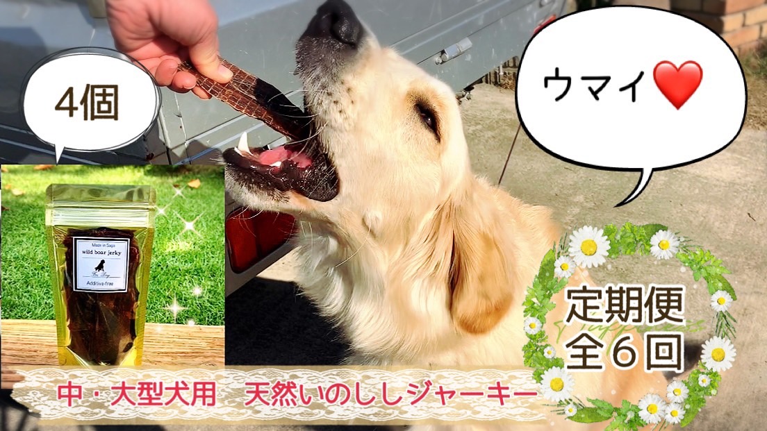 FB088_中～大型犬向け☆天然いのししスモークジャーキー4個【定期便】全6回　/みやき町