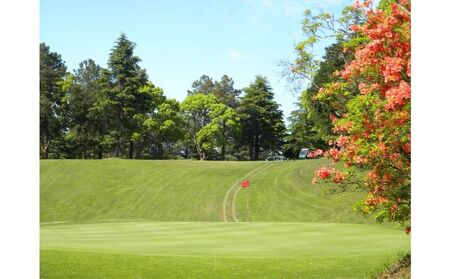 ゴルフ場 千葉 ちばパブ CPGカントリークラブ セルフプレー昼食付ご招待券 平日 1名様 4枚 ゴルフ 関東 チケット ゴルフ場利用券 プレー券 施設利用券 