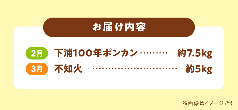 S040-T05_【定期便2回】天草　下浦特産の柑橘2種Ａセット（訳あり）【先行受付】