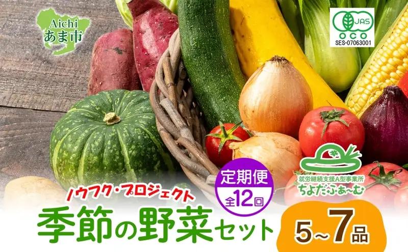 野菜詰合せ 季節の野菜 有機栽培 無農薬 千代田ファーム 野菜詰合せ【定期便 全12回】【冷蔵】