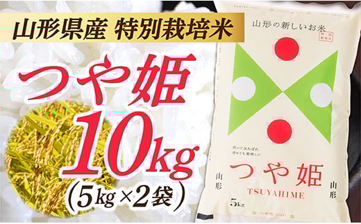 令和7年産　山形県産 特別栽培米 つや姫10kg (5㎏×2袋)