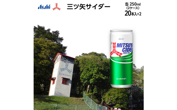 No.386 三ツ矢サイダー缶250ml 40本（20本入×2ケース） KWNQ003