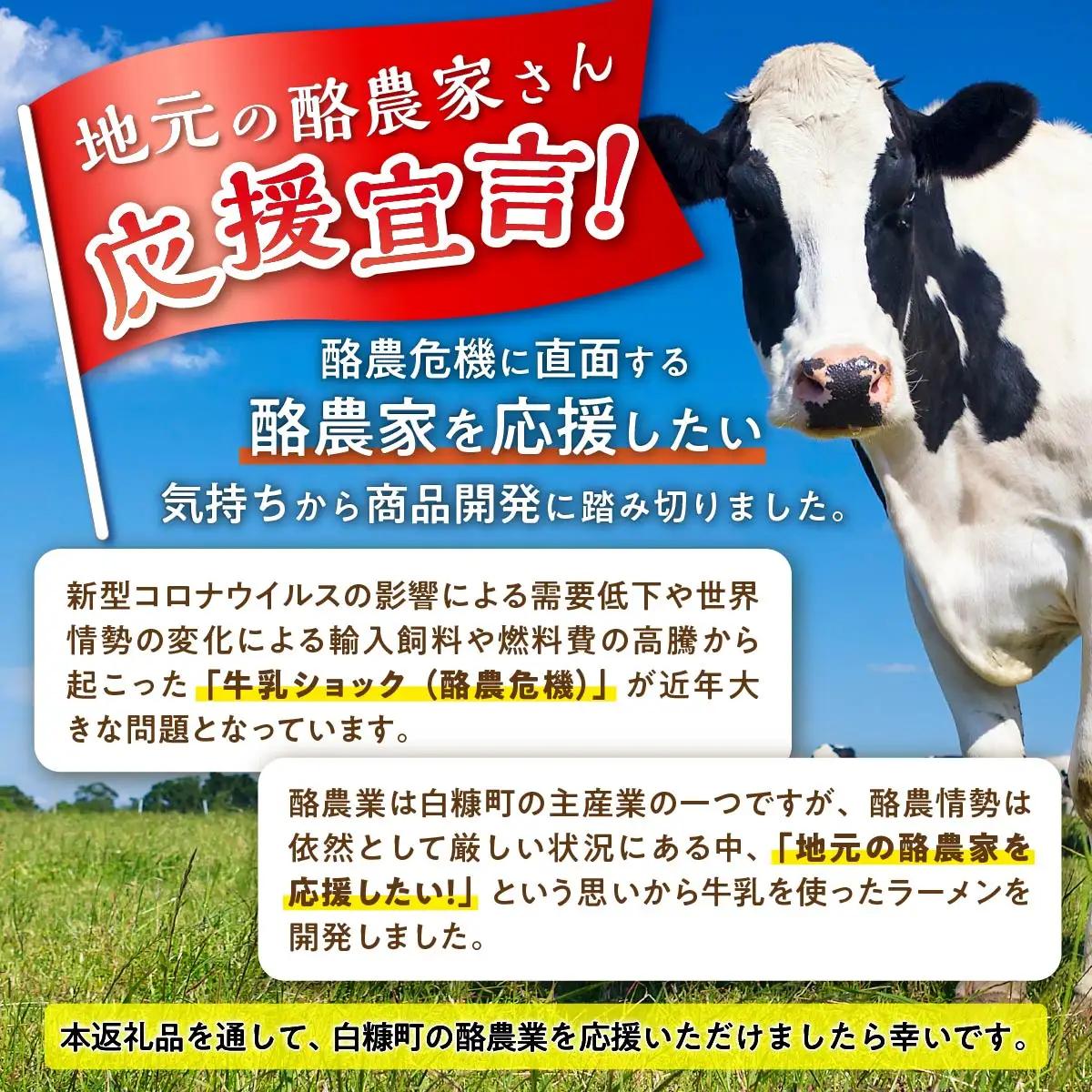 生産者応援 北海道みそラーメン【10食】冷蔵_I010-0989-cool