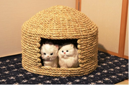 29001I_愛猫の和風高級マンション！国東猫ちぐら（ダブル）・通 