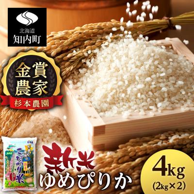 ふるさと納税 知内町 【令和7年産新米】ゆめぴりか 4kg 《杉本農園》