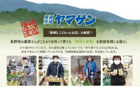 2025年 発送 先行予約 ナガノパープル 約1kg | ナガノパープル ぶどう 葡萄 皮ごと 種なし 高糖度 フルーツ 果物 特産品 オリジナル 品種 産地直送 千曲市 長野県 信州 先行予約