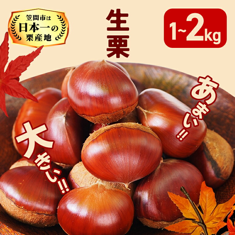 【ふるさと納税】【2026年 秋 出荷】生栗 栗 選べる 1kg 2kg 特大 3L 以上 数量限定 国産 和栗 くり スイーツ 果物 フルーツ 栗きんとん モンブラン 栗ご飯 秋 旬 カサマロン 生産量 日本一 笠間 かさま ギフト プレゼント いばらき