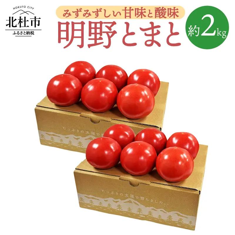 明野とまと約2kg０８ [h216]