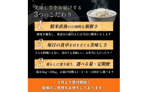 【 令和8年産 】 新米 ササニシキ 30kg ＜ 毎月 5kg 6回 お届け ＞宮城県 石巻市産 定期便6回 精米 鮮度優先 米 お米 白米 ブランド米 単一原料米 産地直送 ごはん お弁当 宮城県