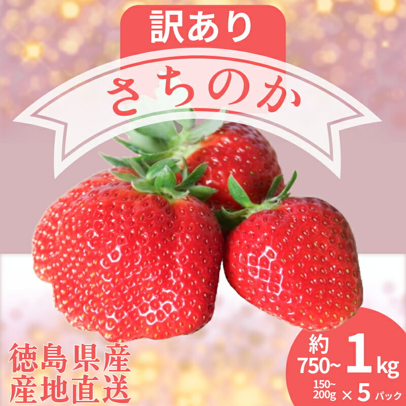 【ふるさと納税】 訳あり いちご さちのか 5パック 1パック150g~200g 計約750g~1kg 苺 イチゴ ストロベリー フルーツ 果物 洋菓子 和菓子 スイーツ お菓子 おやつ アイス ケーキ パフェ タルト ゼリー 季節限定 甘い おいしい 朝摘み 徳島 小松島 【2026年1月より順次発送】
