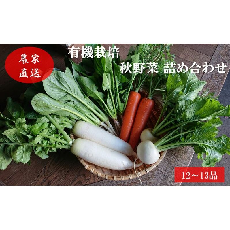 有機栽培 秋野菜 詰め合わせ 群馬県産 東吾妻 有機JAS 認証取得 秋 野菜 やさい 詰合せ 旬