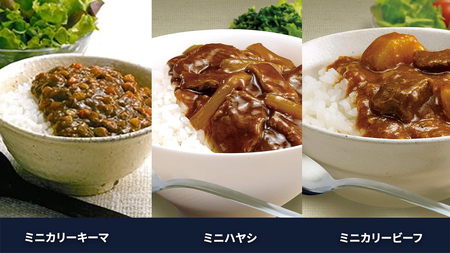 新宿 中村屋 レトルト 食べ比べ セット ( Aセット 12種 )