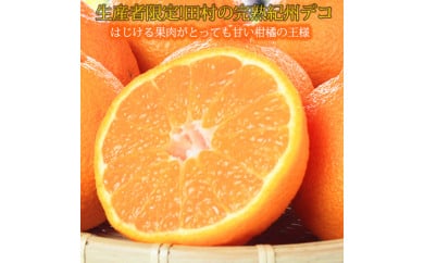 高級ブランド田村の完熟紀州デコ(不知火) ｜ 柑橘 不知火 デコポン みかん フルーツ 果物 旬 先行予約 でこぽん 国産 産地直送 完熟 一級品  美浜町 ※2026年2月下旬～3月下旬頃に順次発送予定